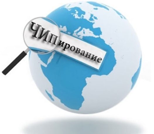 чипирование товара